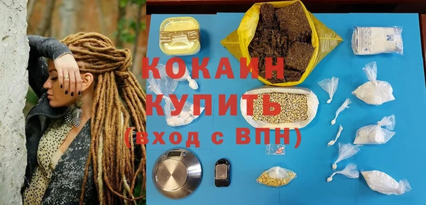 гашик Мегион