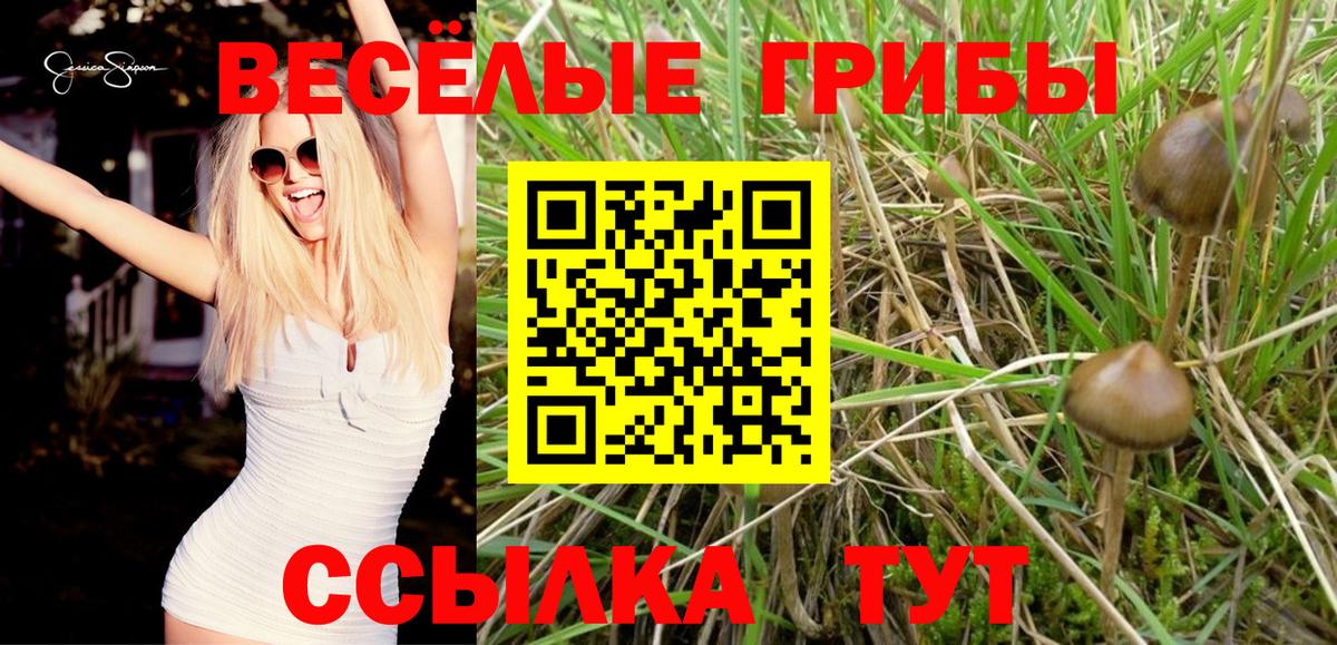 Псилоцибиновые грибы GOLDEN TEACHER  Галлюциногенные грибы MAGIC MUSHROOMS  Вход с VPN  Иваново 