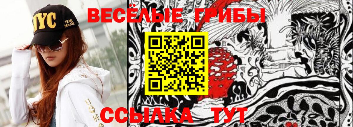 Галлюциногенные грибы Magic Shrooms Иваново